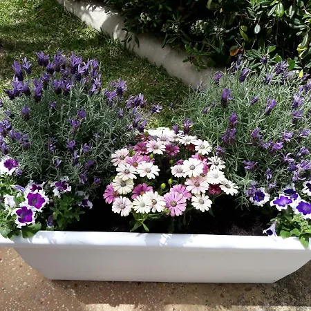 Mare Nostrum Casa Bed and breakfast 4*