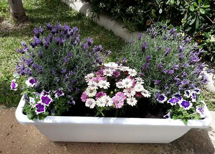 Mare Nostrum Casa לינה וארוחת בוקר 4*